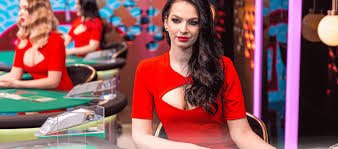 taya365 net